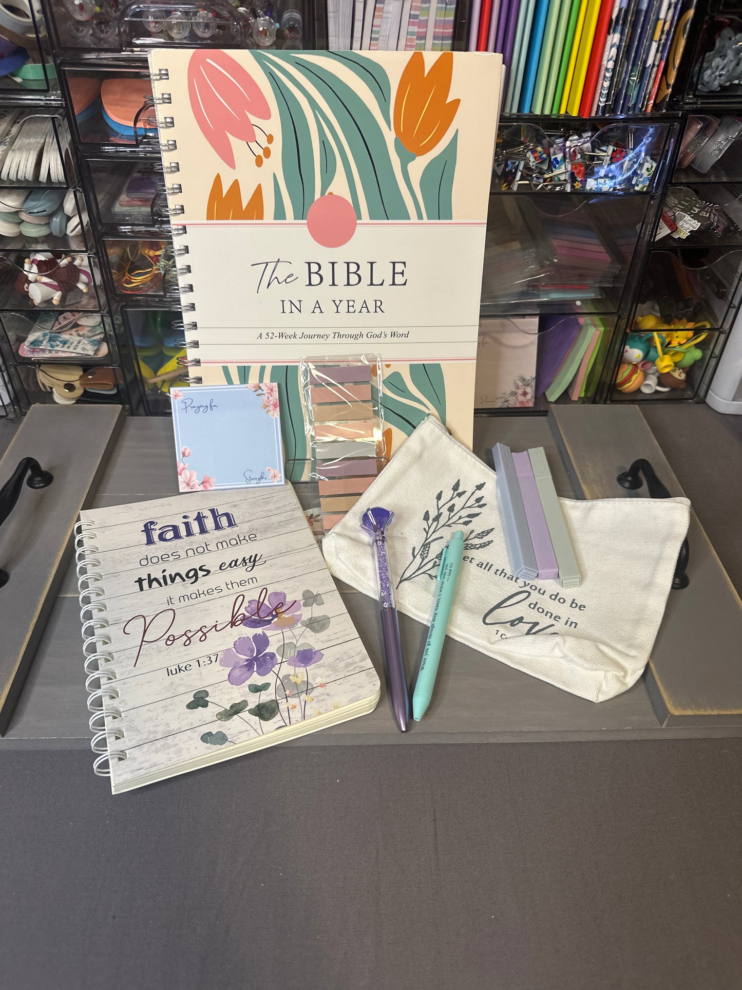 Bible In A Year Bundle
