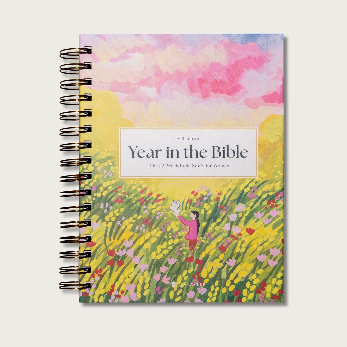 Bible In A Year Bundle